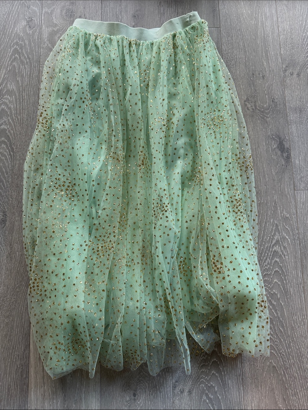 Anthropologie Light Green Tulle Skirt with Gold Sequin Accents